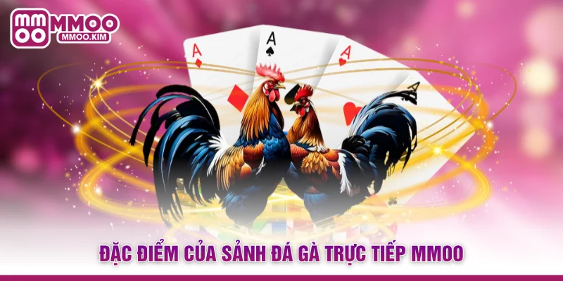 Đặc điểm của sảnh Đá gà trực tiếp MMOO