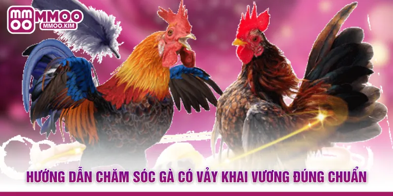 Vảy Gà Khai Vương - Đặc Điểm Nhận Diện Thần Kê Bách Thắng 4 Hướng dẫn chăm sóc gà có vảy khai vương đúng chuẩn